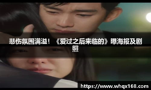 壹号娱乐悲伤氛围满溢！《爱过之后来临的》曝海报及剧照